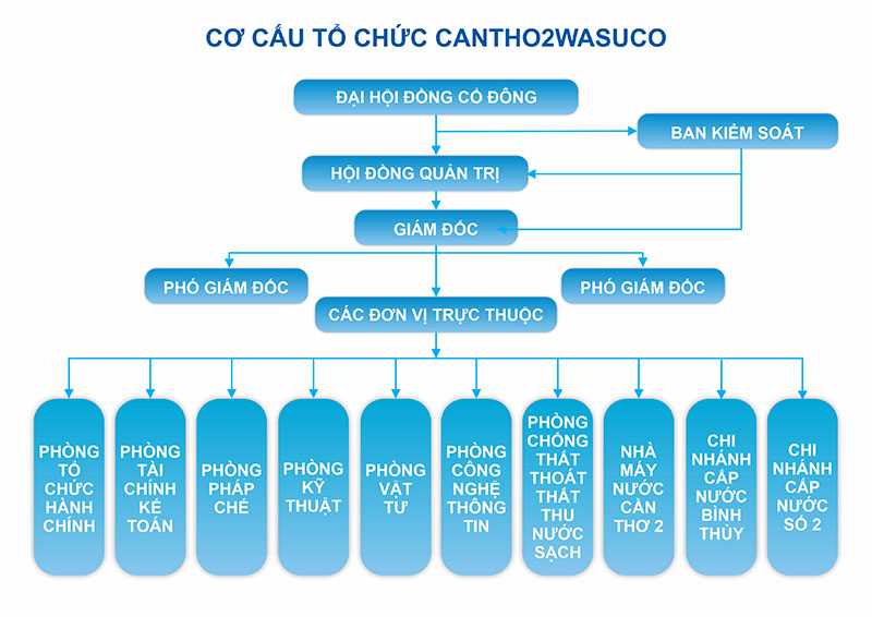 CO CAU TO CHUC CTWSC2.jpg